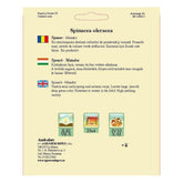 Hectarul - Seminte Spanac  Matador  TRATAT AGROSEM 500 g